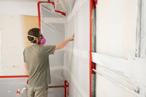 Best Attic Mold Removal  in Centerville, UT